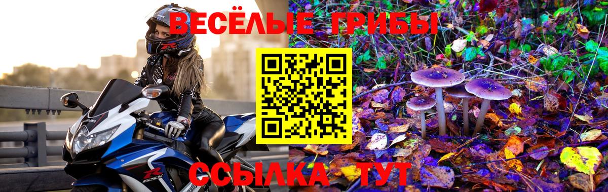 Галлюциногенные грибы ЛСД  Вход с VPN  Южноуральск 
